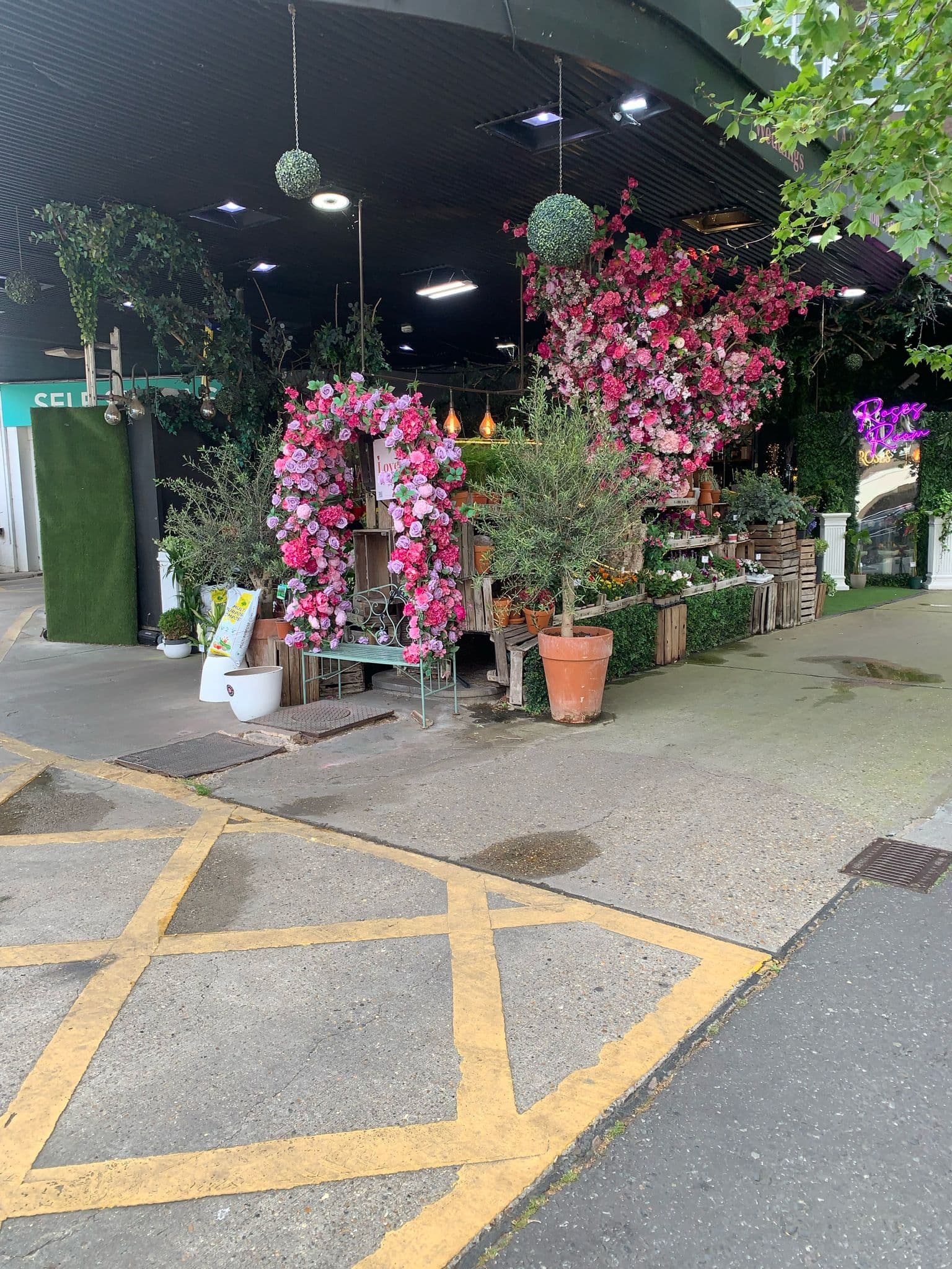 Dense pink floral display and rose arch