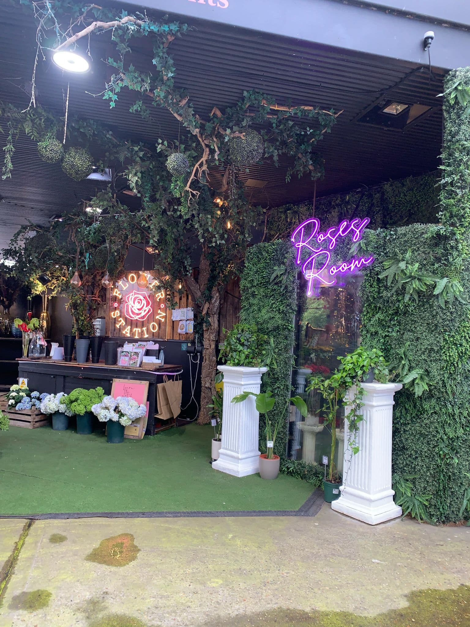 Wild & Bloom storefront interior 3